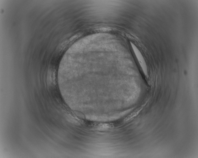 X0000060550330200512011623