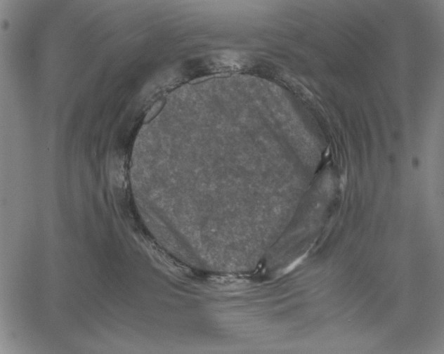 X0000060550331200512011623