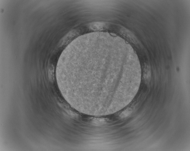 X0000060550332200512011623