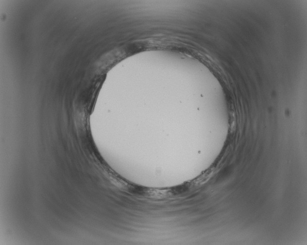 X0000060550333200512011623