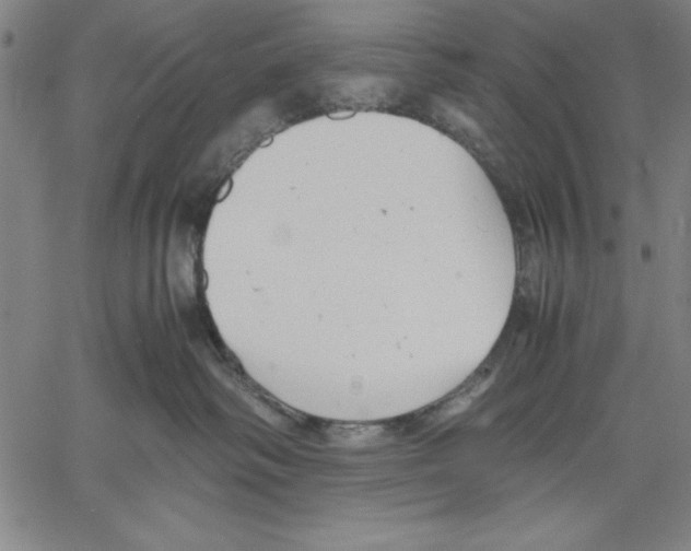 X0000060550334200512011623