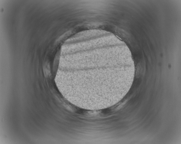 X0000060550335200512011622