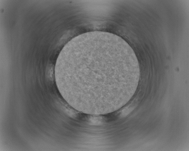 X0000060550336200512011622