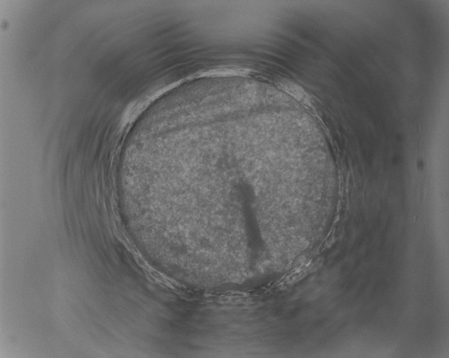 X0000060550337200512011622