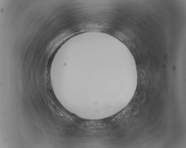 X0000060550338200512011622