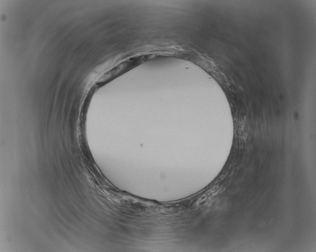 X0000060550340200512011622