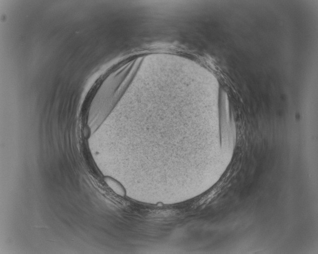 X0000060550342200512011622