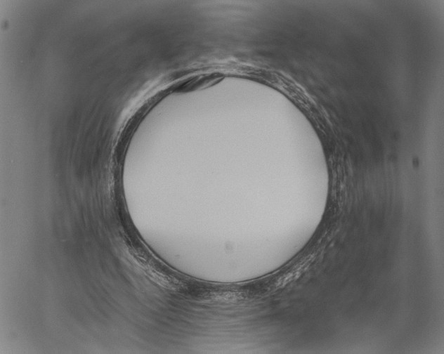 X0000060550344200512011622