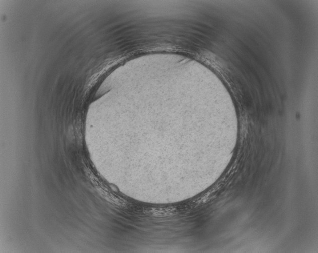 X0000060550345200512011622