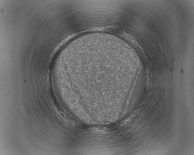 X0000060550346200512011622