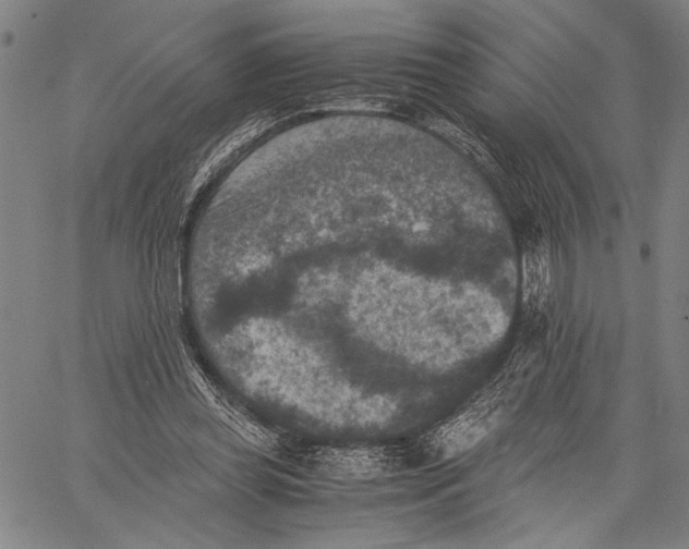 X0000060550349200512011622