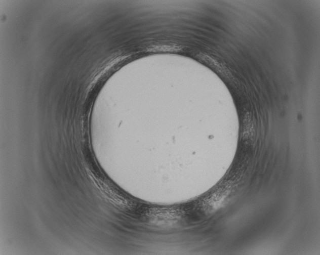 X0000060550351200512011622