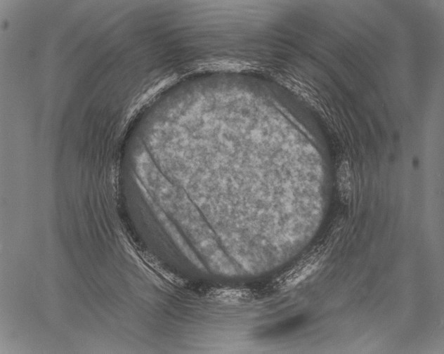 X0000060550352200512011622