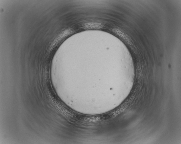 X0000060550353200512011622