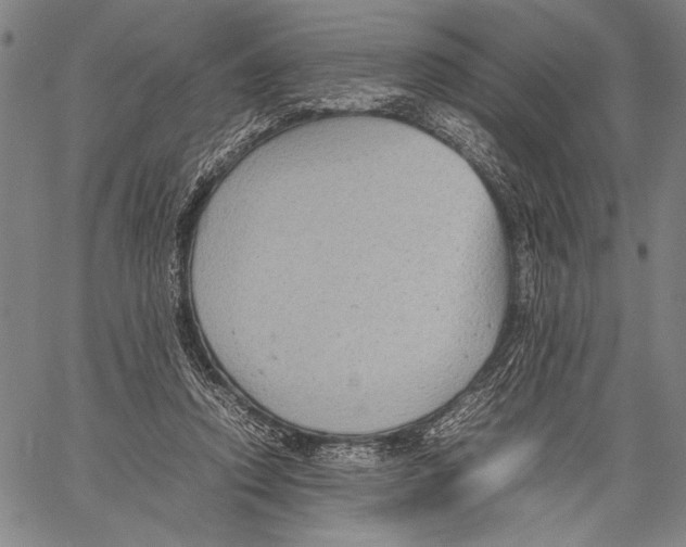 X0000060550354200512011622