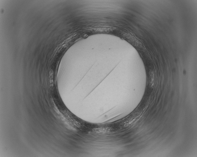 X0000060550356200512011622