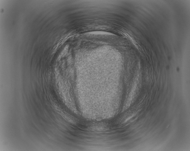 X0000060550357200512011622