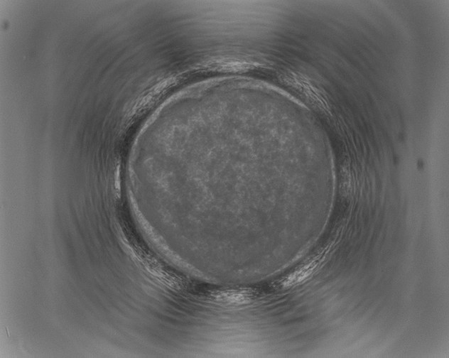 X0000060550358200512011622