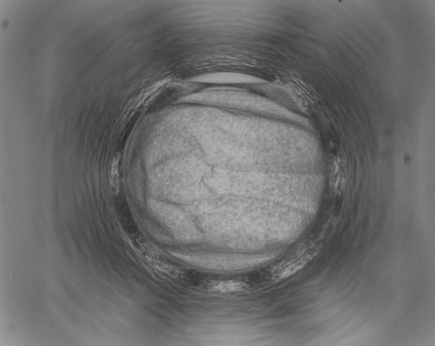 X0000060550360200512011622