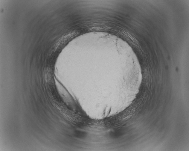 X0000060550361200512011622