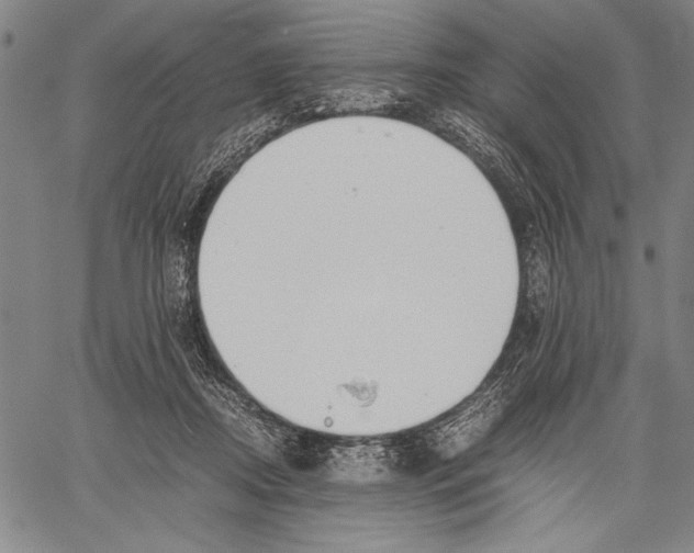 X0000060550362200512011622