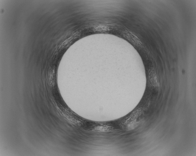 X0000060550364200512011622