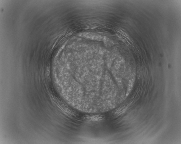 X0000060550365200512011622