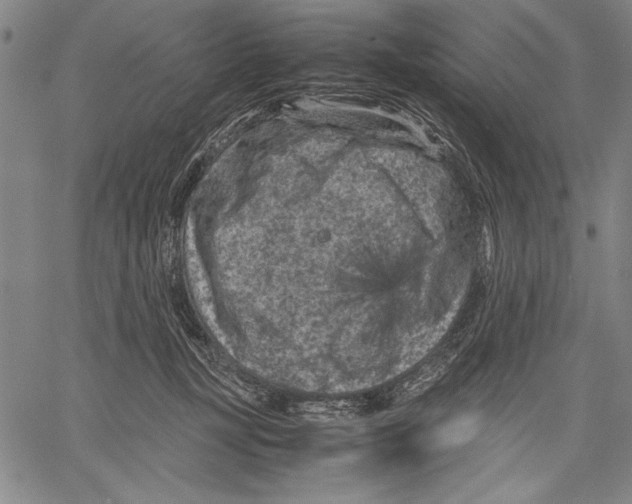 X0000060550367200512011622