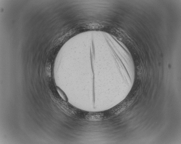 X0000060550368200512011622