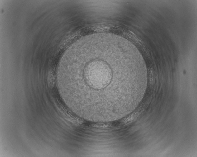 X0000060550370200512011622