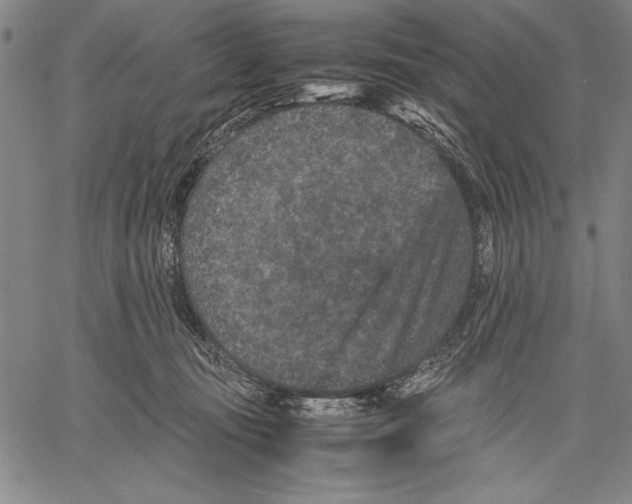 X0000060550371200512011622