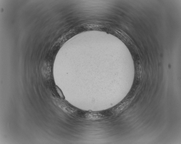 X0000060550372200512011622