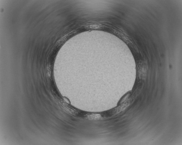 X0000060550374200512011622