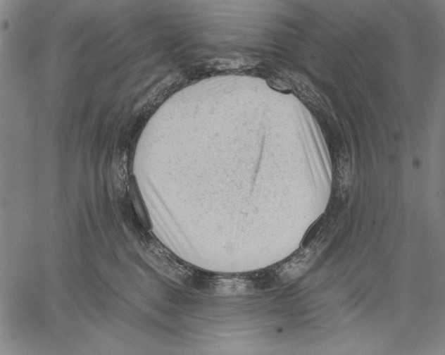 X0000060550376200512011622