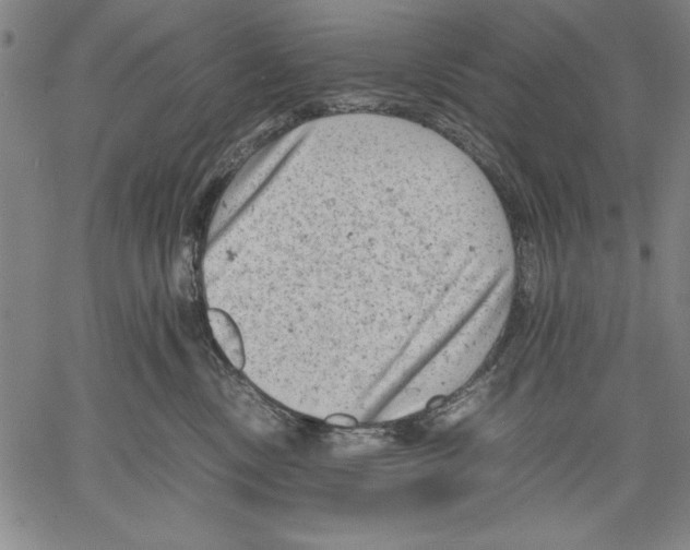 X0000060550378200512011622