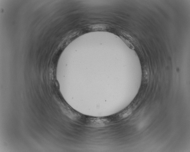 X0000060550379200512011622