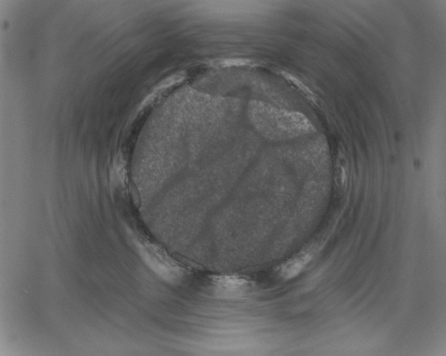 X0000060550380200512011622