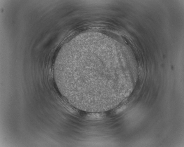 X0000060550381200512011622