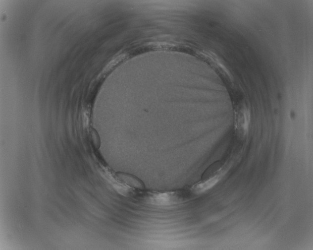 X0000060550382200512011622