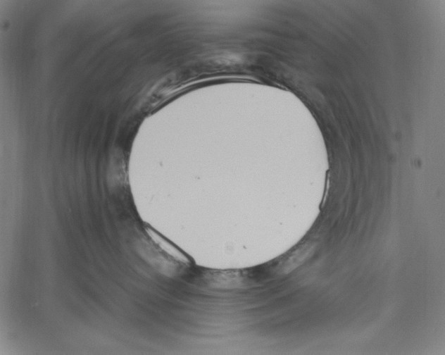 X0000060550384200512011622