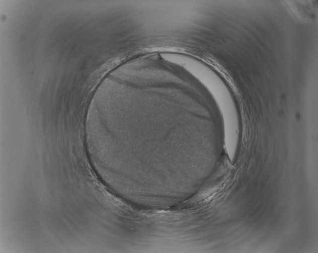 X0000060550385200512011622