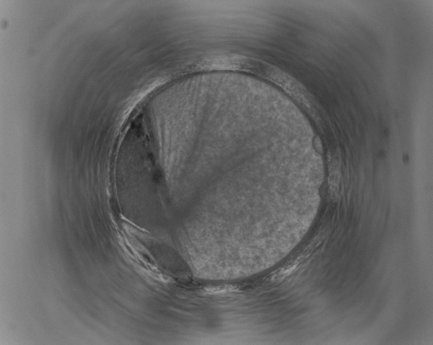 X0000060550386200512011622