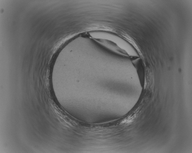 X0000060550387200512011622