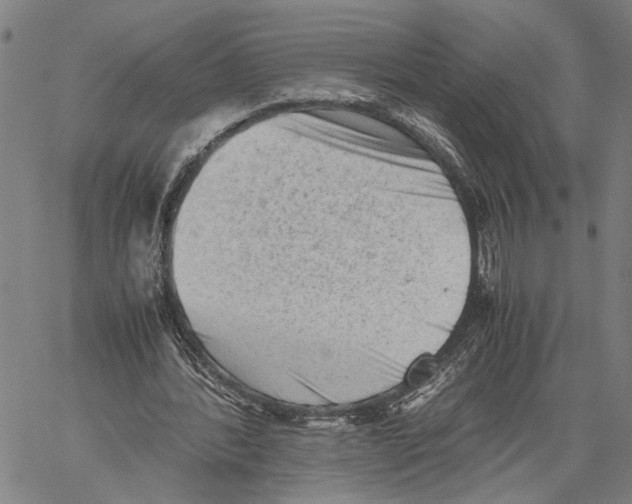 X0000060550388200512011622