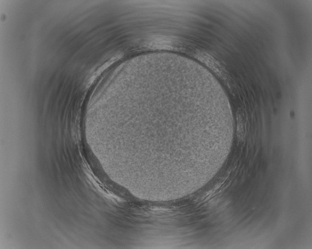 X0000060550390200512011622