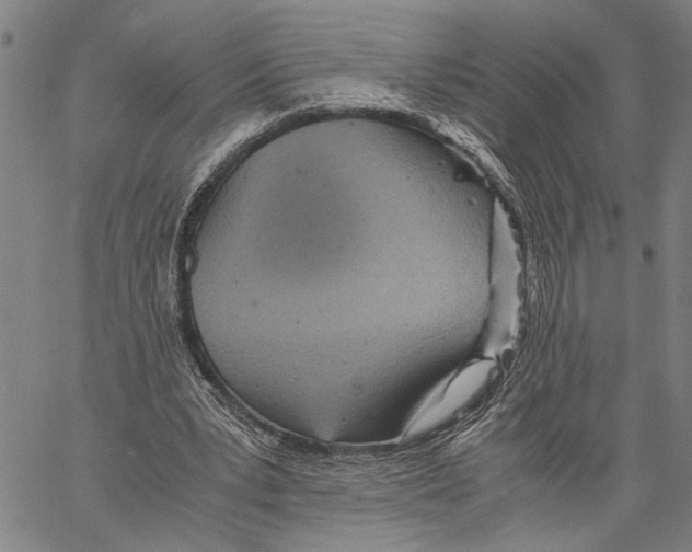 X0000060550391200512011622