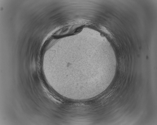 X0000060550392200512011622