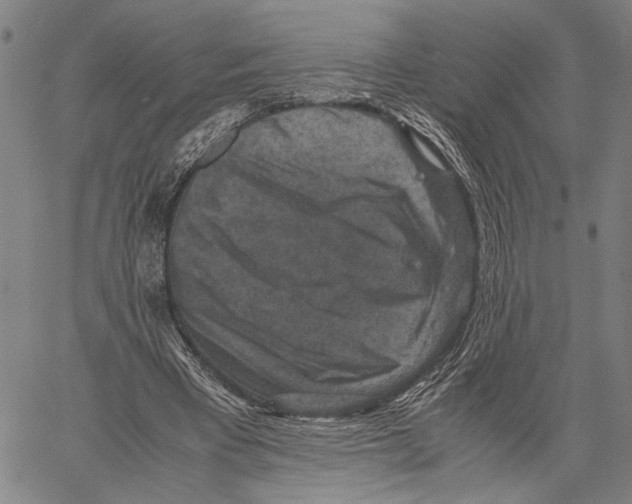 X0000060550393200512011622