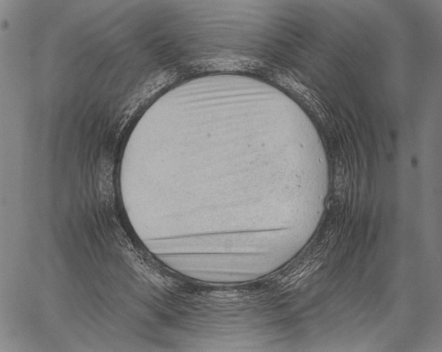 X0000060550394200512011622