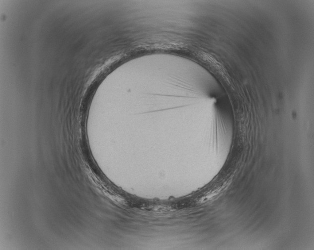 X0000060550395200512011622